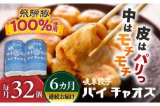 【6回定期便】 岐阜餃子32個入り（パイチャオズ） ぎょうざ 冷凍餃子 お取り寄せ 岐阜市 / MABUCHIKOGYO [ANEY007]
