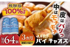 【3回定期便】 岐阜餃子64個入り（パイチャオズ） ぎょうざ 冷凍餃子 お取り寄せ 岐阜市 / MABUCHIKOGYO [ANEY008]
