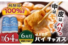 【6回定期便】 岐阜餃子64個入り（パイチャオズ） ぎょうざ 冷凍餃子 お取り寄せ 岐阜市 / MABUCHIKOGYO [ANEY009]