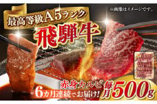 【6回定期便】A5等級 飛騨牛 赤身カルビ 焼肉用 500g BBQ 焼き肉 A5ランク 岐阜市 / 三心 [ANGY009]