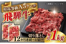 【12回定期便】A5等級 飛騨牛 切り落とし 1kg(500g×2パック) ブランド牛 最高級 A5ランク 岐阜市 / 三心 [ANGY018]