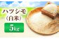 米 こめ コメ 白米 はくまい ご飯 ごはん