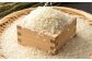 米 こめ コメ 白米 はくまい ご飯 ごはん