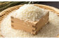 米 こめ コメ 白米 はくまい ご飯 ごはん