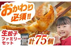 【人気】生餃子専門店「新助」の餃子！ファミリーセット(75個入り)　餃子 ぎょうざ ギョーザ　岐阜市 / ドルフィン株式会社 [ANHL002]