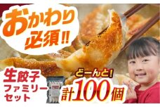 【人気】生餃子専門店「新助」の餃子！ファミリーセット(100個入り)　餃子 ぎょうざ ギョーザ　岐阜市 / ドルフィン株式会社 [ANHL003]