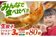 【大好評】食べ比べ生餃子！ファミリーセット(80個入り) 餃子 ぎょうざ ギョーザ　岐阜市 / ドルフィン株式会社 [ANHL005]