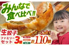 【大好評】食べ比べ生餃子！ファミリーセット(110個入り) 餃子 ぎょうざ ギョーザ　岐阜市 / ドルフィン株式会社 [ANHL006]