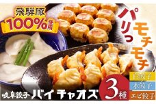 餃子 セット （ 白餃子 16個 / エビ餃子 8個 / 水餃子 15個 ） 餃子 中華 おつまみ 岐阜市 / MABUCHIKOGYO [ANEY003]