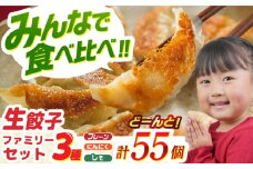 【大好評】食べ比べ生餃子！ファミリーセット(55個入り) 餃子 ぎょうざ ギョーザ　岐阜市 / ドルフィン株式会社 [ANHL004]