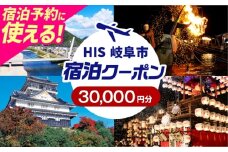 HISふるさと納税宿泊予約専用クーポン（岐阜県岐阜市）30,000円分　岐阜市 / HIS [ANHU008]