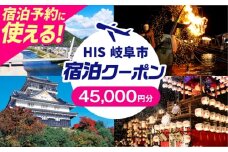 HISふるさと納税宿泊予約専用クーポン（岐阜県岐阜市）45,000円分　岐阜市 / HIS [ANHU010]