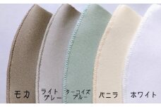 【日本製】エチケットマスク スモールサイズ 10枚(2枚×5セット) 対策 冷感 立体 岐阜市 / ビッグ宮田 [ANEA007]