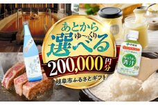【あとから選べる】 岐阜県岐阜市ふるさとギフト寄附金額 20万円分 飛騨牛 トイレットペーパー 日本酒 スイーツ コーヒー 岐阜市 / 岐阜市ふるさと納税 [ANFT020]