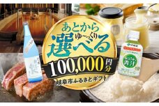 【あとから選べる】 岐阜県岐阜市ふるさとギフト 寄附金額10万円分 飛騨牛 トイレットペーパー 日本酒 スイーツ コーヒー 岐阜市 / 岐阜市ふるさと納税 [ANFT019]