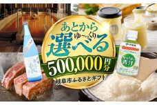 【あとから選べる】 岐阜県岐阜市ふるさとギフト 寄附金額50万円分 飛騨牛 トイレットペーパー 日本酒 スイーツ コーヒー 岐阜市 / 岐阜市ふるさと納税 [ANFT023]