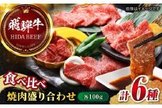 【11月発送】【飛騨牛】食べ比べ 焼肉盛り合わせ6種 各100g / 飛騨牛 ひだぎゅう 焼肉 やきにく 牛肉 和牛 ミスジ イチボ 飛騨牛 岐阜市/丸福商店  [ANBO027-11]