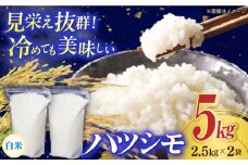 【令和7年産】岐阜市産 ハツシモ 白米 5kg【2.5kg×2P】 お米 コメ 5キロ 岐阜市/農事組合法人　下城田寺営農 [ANEP003]