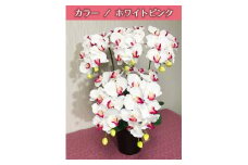 光触媒造花胡蝶蘭　5本立（ホワイトピンク）