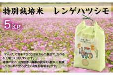 水の都 大垣米 ～わごうめぐみ米～ 5kg【特別栽培米レンゲハツシモ】
