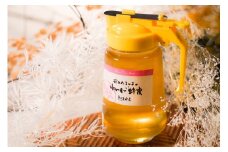 【大垣産】希少な『れんげ蜂蜜』（パッカー容器入：450ｇ）農林水産大臣賞2回受賞