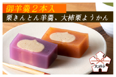 御羊羹２本入（栗きんとん羊羹、大柿栗ようかん）
