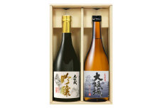 武内酒造「大垣城」　吟醸・純米　720ml×2本　のみくらべセット