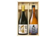 武内酒造「大垣城」　吟醸・純米　720ml×2本　のみくらべセット