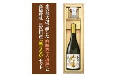 大垣の名水でつくった吟醸「大垣城」と高級珍味「鮎うるか」のセット