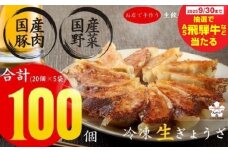 【秋の大感謝祭開催中！飛騨牛が抽選で当たる】生餃子専門店「新家」の生餃子　元気がモリモリ 100個 (20個×5袋) 小分け 手作り 餃子 おかず 人気