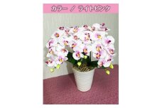 光触媒造花胡蝶蘭　3本立（ライトピンク）