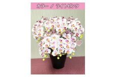 光触媒造花胡蝶蘭　7本立（ライトピンク）