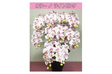 光触媒造花胡蝶蘭　10本立（ライトピンク）