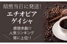 焙煎当日に発送！エチオピアゲイシャ 浅煎り 超希少種コーヒー豆 200g 豆