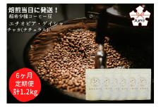 【定期便(6か月)】超希少種コーヒー豆『エチオピア　ゲイシャ』ゲシャビレッジ農園　チャカ（ナチュラル）粉