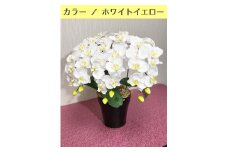 光触媒造花胡蝶蘭　3本立（ホワイトイエロー）