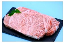 【秋の大感謝祭開催中！飛騨牛が抽選で当たる】A5飛騨牛　『超厚切り！』サーロインステーキ　450ｇ前後×2枚
