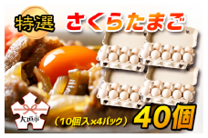 特選　さくらたまご　40個（10個入×４パック）