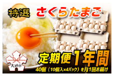 特選　さくらたまご【定期便　1年間】☆40個（10個入×4パック）を月1回お届け☆☆