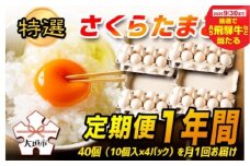 【秋の大感謝祭開催中！飛騨牛が抽選で当たる】【定期便 1年間】特選 さくら たまご12ヶ月分 ☆40個（10個入×4パック）を月1回お届け☆☆