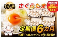 【秋の大感謝祭開催中！飛騨牛が抽選で当たる】【定期便 6カ月】　特選 さくらたまご ☆40個（10個入×4パック）を月1回お届け☆☆