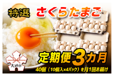 特選　さくらたまご【定期便　3カ月】☆40個（10個入×4パック）を月1回お届け☆☆