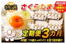 【秋の大感謝祭開催中！飛騨牛が抽選で当たる】【定期便 3カ月】 特選 さくらたまご☆40個（10個入×4パック）を月1回お届け☆☆