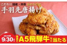 【秋の大感謝祭開催中！飛騨牛が抽選で当たる】海座自慢の名物『手羽先唐揚げ』５０本(2kg以上)入り【調理済み温めるだけでOK】
