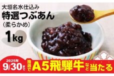 【秋の大感謝祭開催中！飛騨牛が抽選で当たる】大垣名水仕込み【特選つぶあん１kg】（やわらかめ）　北海道産十勝小豆100％使用 あんこ 餡子 小倉あん 粒あん