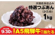 【秋の大感謝祭開催中！飛騨牛が抽選で当たる】大垣名水仕込み【特選つぶあん１kg】（かため）　北海道産十勝小豆100％使用 あんこ 餡子 小倉あん 粒あん 