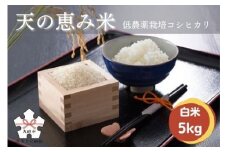 天の恵み米＜里山『上石津』のコシヒカリ＞5kg