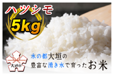 ハツシモ５kg　～水の都大垣の豊富な湧き水で育ったお米 ～