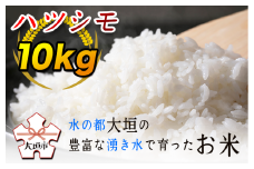 ハツシモ10kg　～水の都大垣の豊富な湧き水で育ったお米 ～