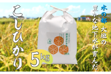 【秋の大感謝祭開催中！飛騨牛が抽選で当たる】コシヒカリ５kg　～水の都大垣の豊富な湧き水で育ったお米 ～